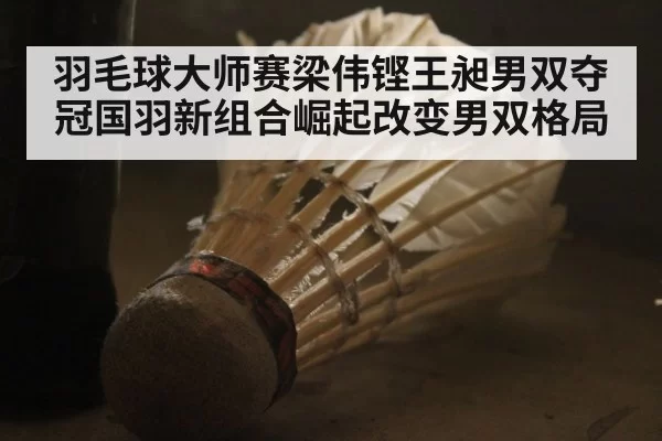 羽毛球大师赛梁伟铿王昶男双夺冠国羽新组合崛起改变男双格局