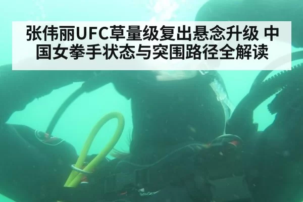 张伟丽UFC草量级复出悬念升级 中国女拳手状态与突围路径全解读